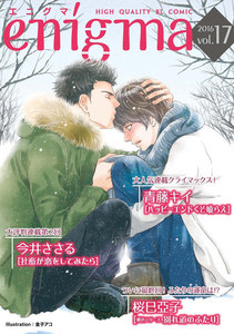 enigma vol.17 電子書籍版