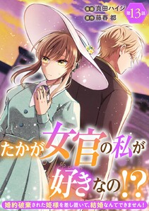 たかが女官の私が好きなの!? 婚約破棄された姫様を差し置いて、結婚なんてできません! (13)