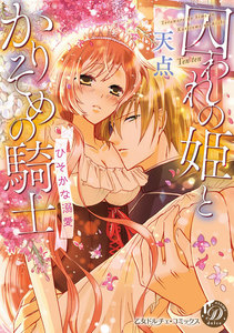 囚われの姫とかりそめの騎士~ひそかな溺愛~