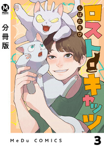 【分冊版】ロスト・キャッツ 3 電子書籍版
