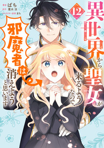 異世界から聖女が来るようなので、邪魔者は消えようと思います 12