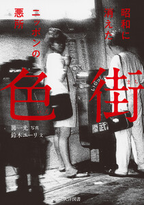 色街 昭和に消えたニッポンの悪所