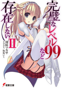 完璧なレベル99など存在しないII 電子書籍版