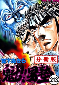 魁!!男塾【分冊版】 (213) 電子書籍版