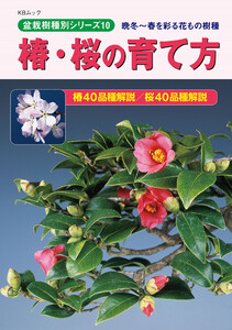 椿・桜の育て方