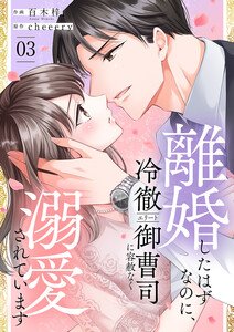 離婚したはずなのに、冷徹エリート御曹司に容赦なく溺愛されています【電子単行本版】 (3)