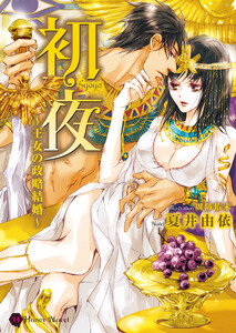 初夜~王女の政略結婚~