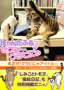 【無料】にゃんだふるセクシーグラビにゃ