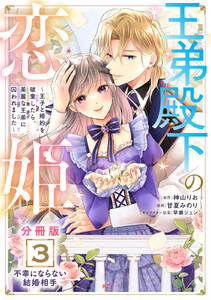 王弟殿下の恋姫 ~王子と婚約を破棄したら、美麗な王弟に囚われました~ 分冊版 (3) 電子書籍版