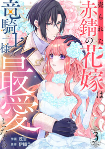 売られた赤錆の花嫁は竜騎士様の最愛となる (3) 電子書籍版