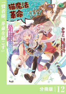 猫魔法が世界に革命を起こすそうですよ?【分冊版】(ノヴァコミックス)12 電子書籍版