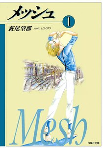 メッシュ