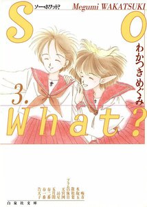 So What? (3) 電子書籍版