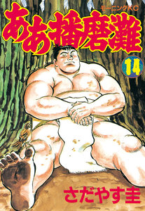 ああ播磨灘 (14) 電子書籍版