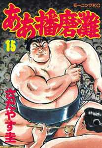 ああ播磨灘 (15) 電子書籍版
