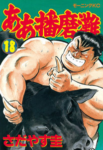 ああ播磨灘 (18) 電子書籍版