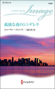 孤独な夜のシンデレラ