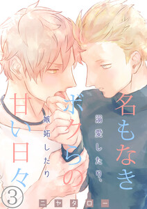 名もなきボクらの甘い日々～溺愛したり、嫉妬したり～ 3巻 電子書籍版