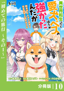 異世界転生したら愛犬ベスのほうが強かったんだが～職業街の人でも出来る宿屋経営と街の守り方～【分冊版】(ノヴァコミックス)10 電子書籍版