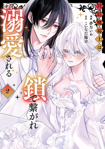 宮廷魔導士は鎖で繋がれ溺愛される2