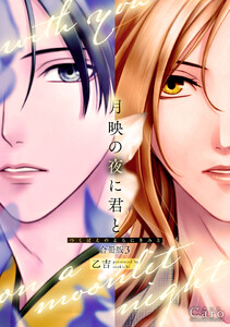 月映の夜に君と(合冊版3)