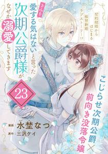 「きみを愛する気はない」と言った次期公爵様がなぜか溺愛してきます(単話版)第23話
