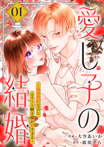 愛し子の結婚～偽装契約なのにエリート騎士様が甘すぎる～【電子単行本版/特典おまけ付き】 (1)