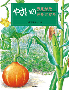 やさいのうえかたそだてかた