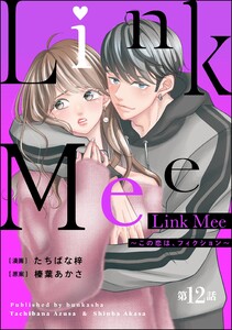 Link Mee ~この恋は、フィクション~(分冊版) 【第12話】 電子書籍版