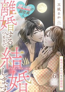 推し似の副社長と離婚するつもりで結婚します~塩対応から始まる溺愛婚~(6) 電子書籍版