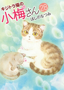 キジトラ猫の小梅さん (28)