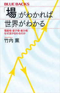 「場」がわかれば世界がわかる 電磁場・量子場・重力場 なぜ波が伝わるのか