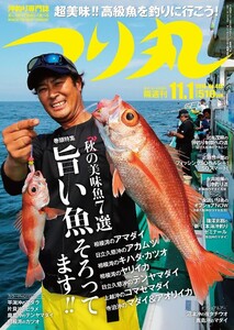 つり丸 2016年 11/1号 電子書籍版