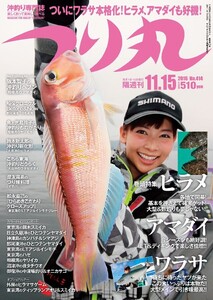 つり丸 2016年 11/15号 電子書籍版