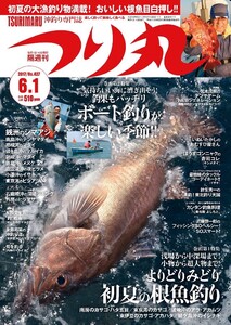 つり丸 2017年 6/1号 電子書籍版