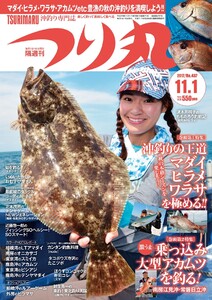 つり丸 2017年 11/1号 電子書籍版