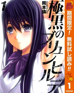極黒のブリュンヒルデ