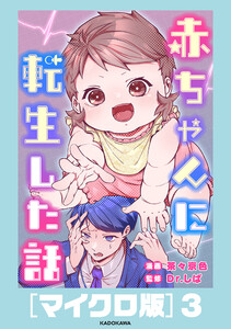 赤ちゃんに転生した話[マイクロ版]3 電子書籍版