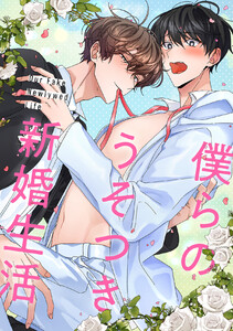 僕らのうそつき新婚生活 (17)