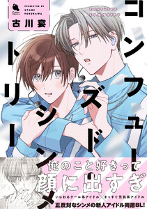 コンフューズド・シンメトリー 【特別描き下ろし漫画付き】