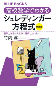 高校数学でわかるシュレディンガー方程式<新装版> 量子力学をほんとうに理解したい人へ