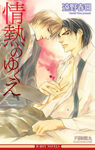 情熱のゆくえ(情熱シリーズ2)【イラスト入り】 電子書籍版
