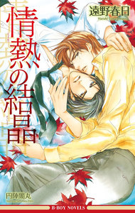 情熱の結晶(情熱シリーズ4)【イラスト入り】 電子書籍版