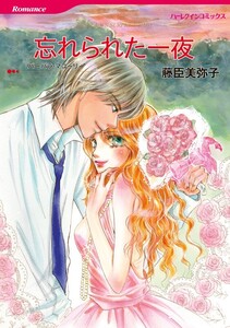 忘れられた一夜 3話(分冊版) 電子書籍版