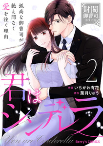 君はシンデレラ～孤高な御曹司が絶え間なく愛を注ぐ理由～【財閥御曹司シリーズ】2巻 電子書籍版