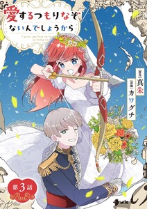 愛するつもりなぞないんでしょうから【単話】 (3) 電子書籍版