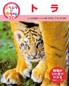 くらべてみよう!どうぶつの赤ちゃん 21 トラ 電子書籍版