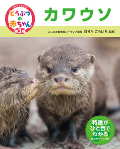 カワウソ23 くらべてみよう!どうぶつの赤ちゃん 電子書籍版