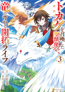 トカゲ(本当は神竜)を召喚した聖獣使い、竜の背中で開拓ライフ3 電子書籍版