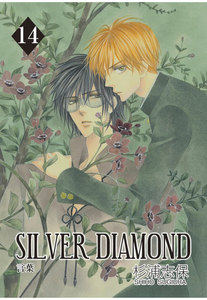 SILVER DIAMOND(14) 電子書籍版